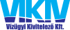 vikiv logo