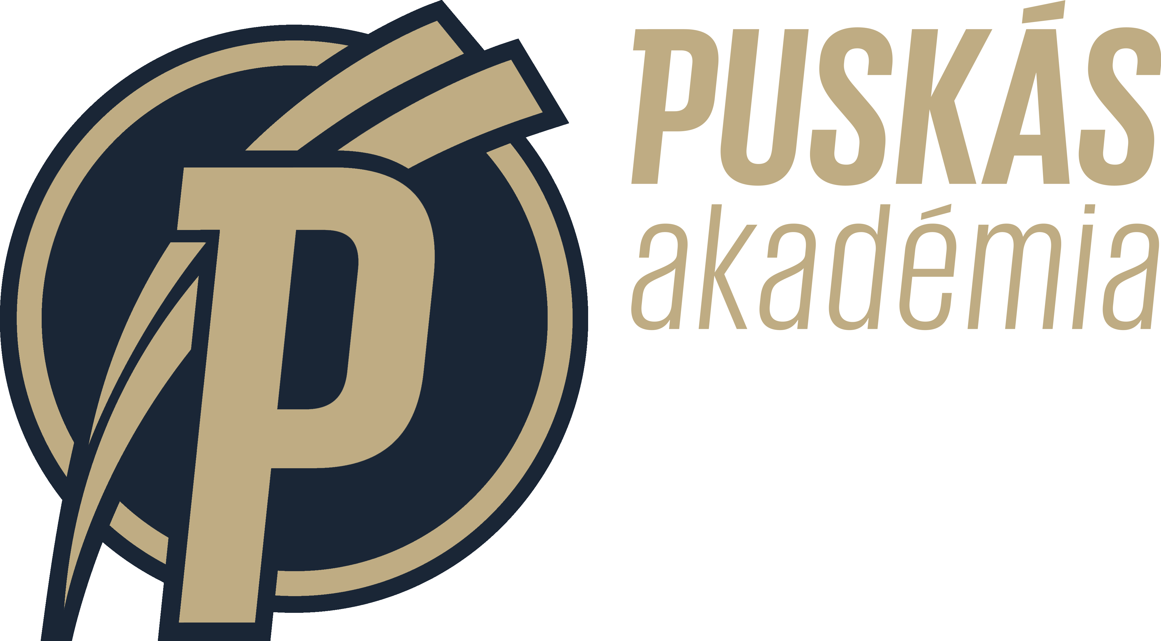 Puskás Akadémia logó